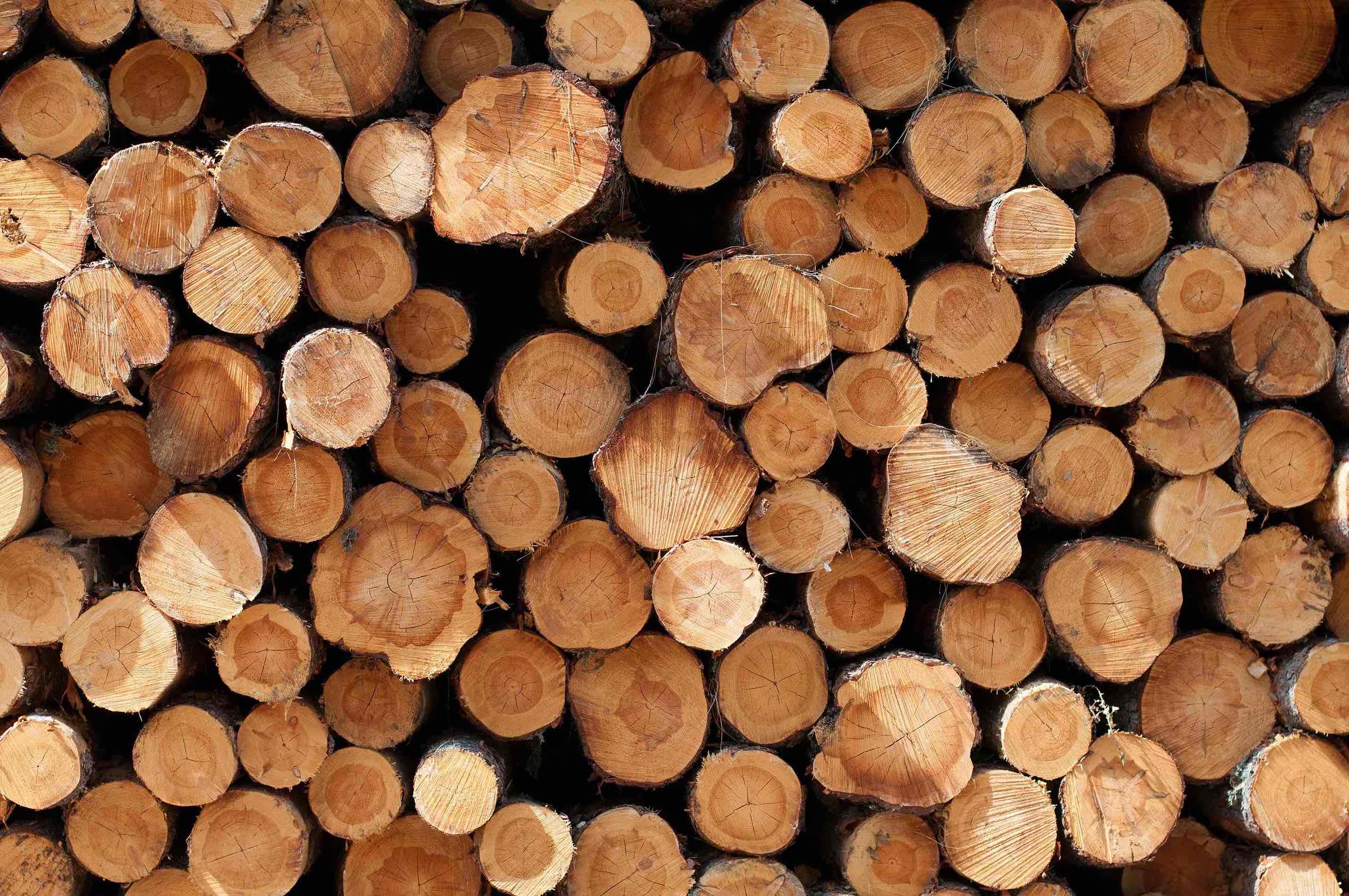 PRODUCT.BLOCS.FIRST.TITLE